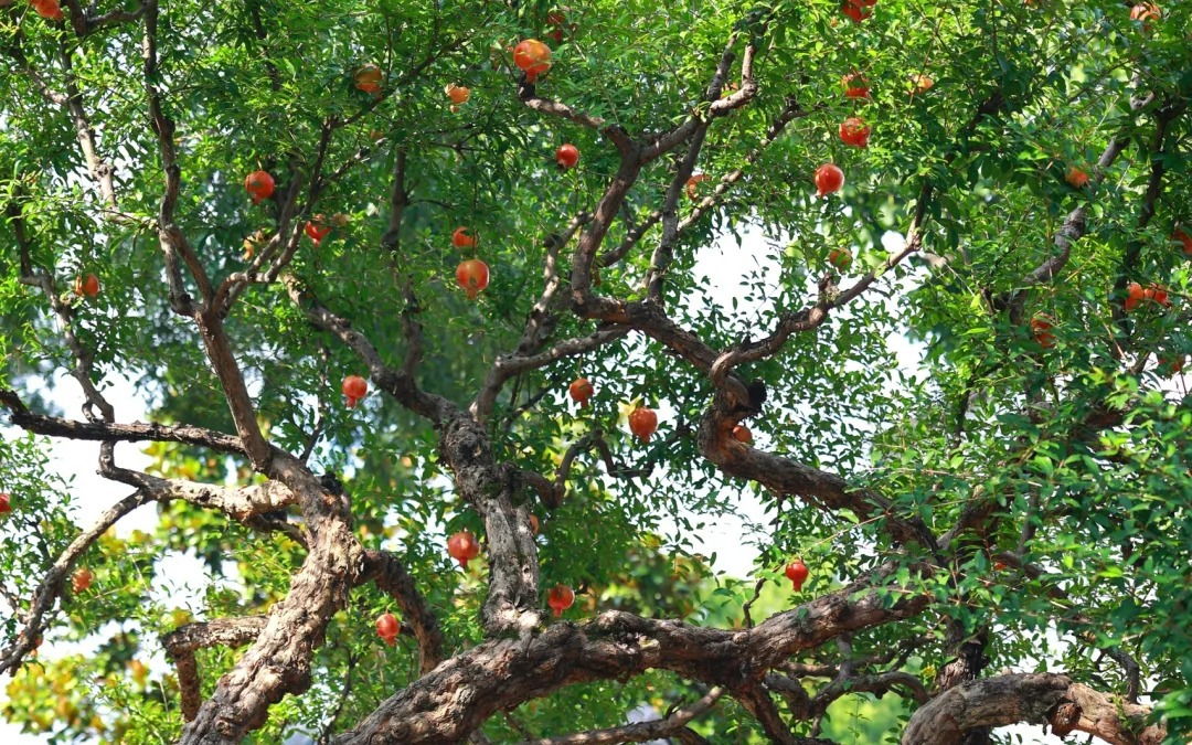 Người sinh tháng Âm lịch này, vận may lâu dài, tương lai tươi sáng, không giàu có cũng cao sang - Ảnh 4.