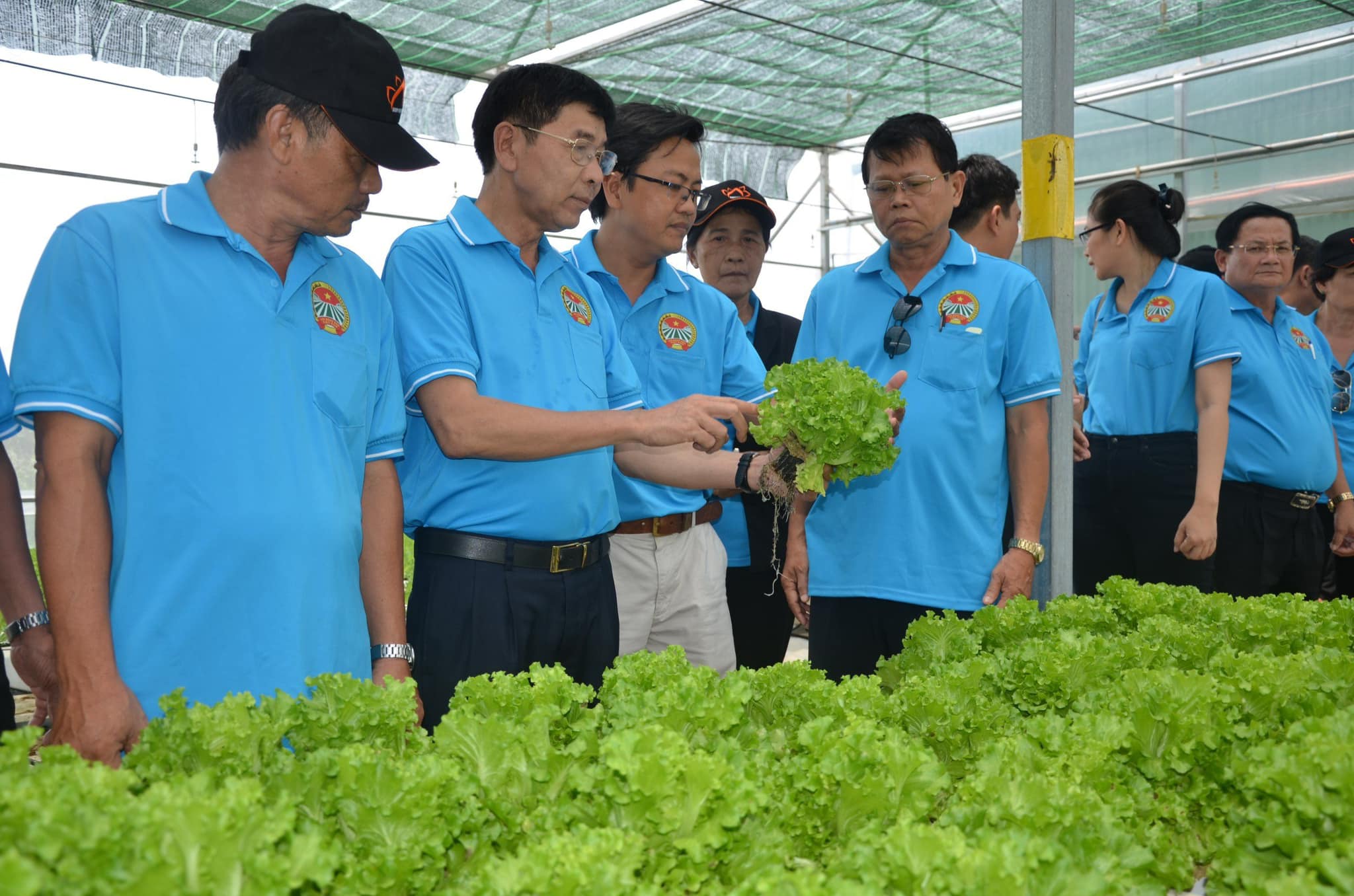 Xây dựng công trình trên đất nông nghiệp ở TP.HCM: Nông dân phấn khởi với quy định mới (bài 2)  - Ảnh 5.