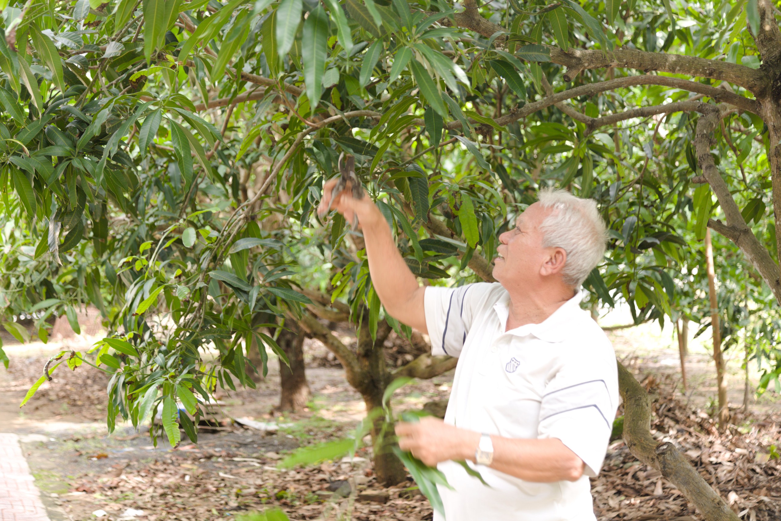 Xây dựng công trình trên đất nông nghiệp ở TP.HCM: Làm sao để hiện thực hóa? (bài cuối) - Ảnh 4.