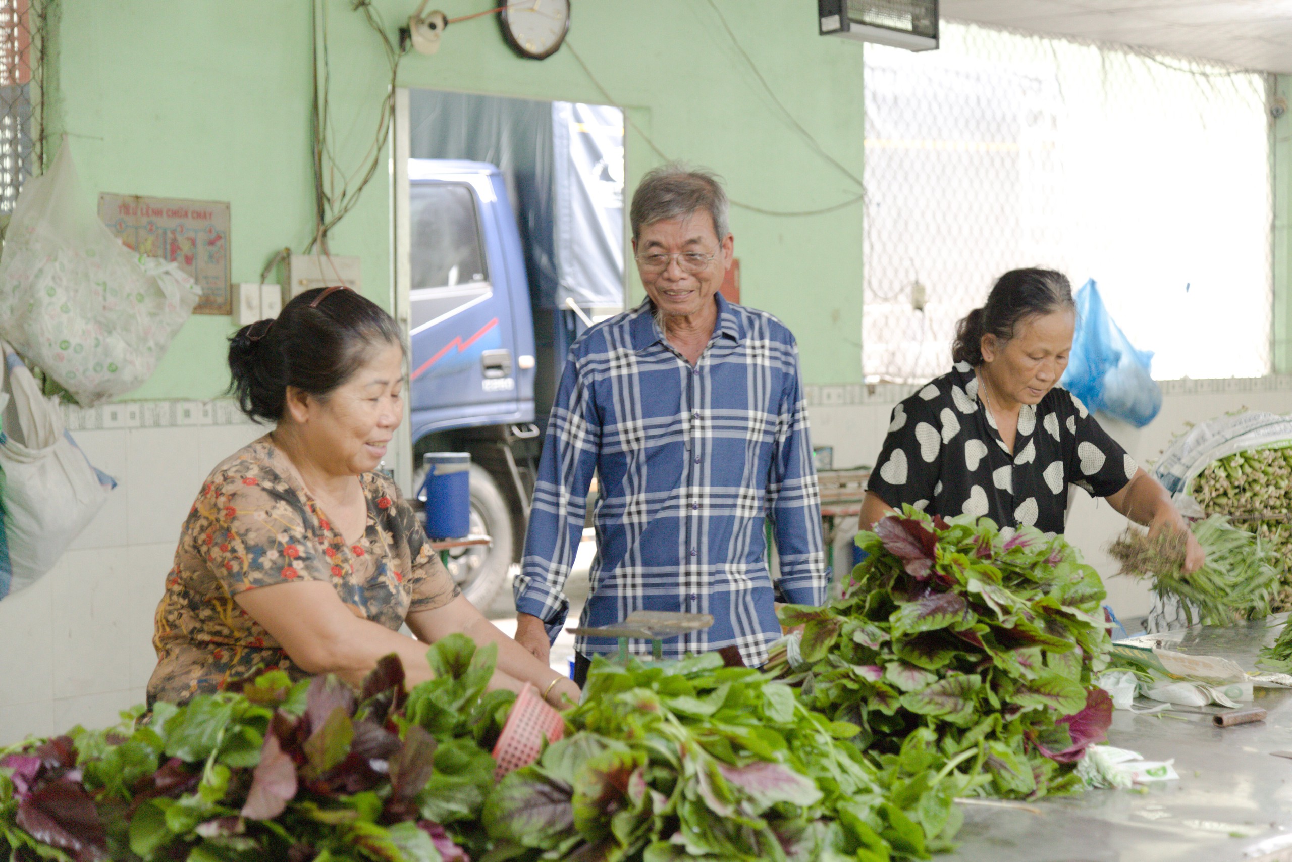 Xây dựng công trình trên đất nông nghiệp ở TP.HCM: HTX nguy cơ giải thể vì không có đất xây nhà xưởng (bài 1) - Ảnh 2.