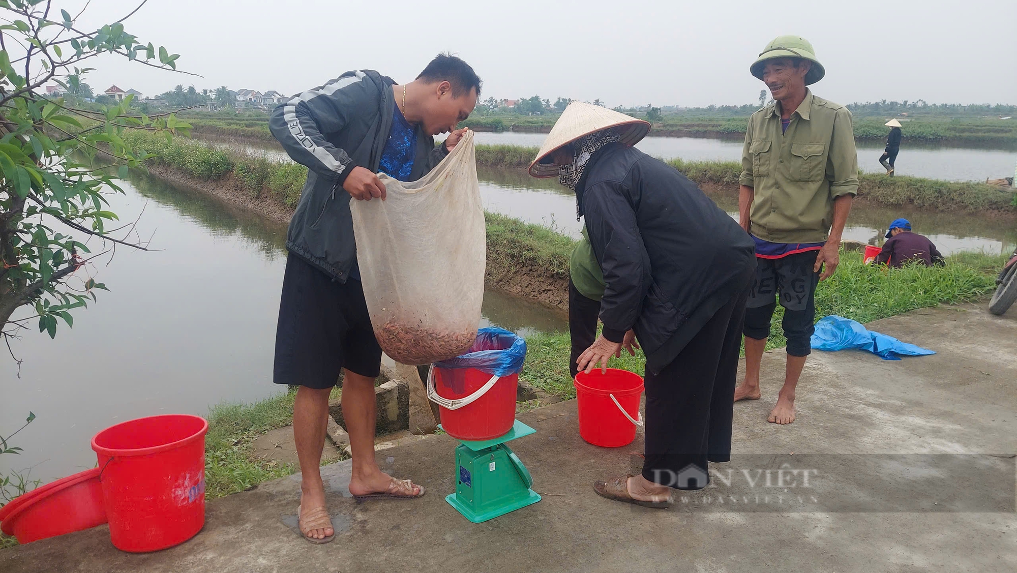 Đi vớt rươi nổi lúc nhúc - nguồn "báu vật trời cho" nông dân Hải Phòng làm chơi mà ăn thật - Ảnh 4.