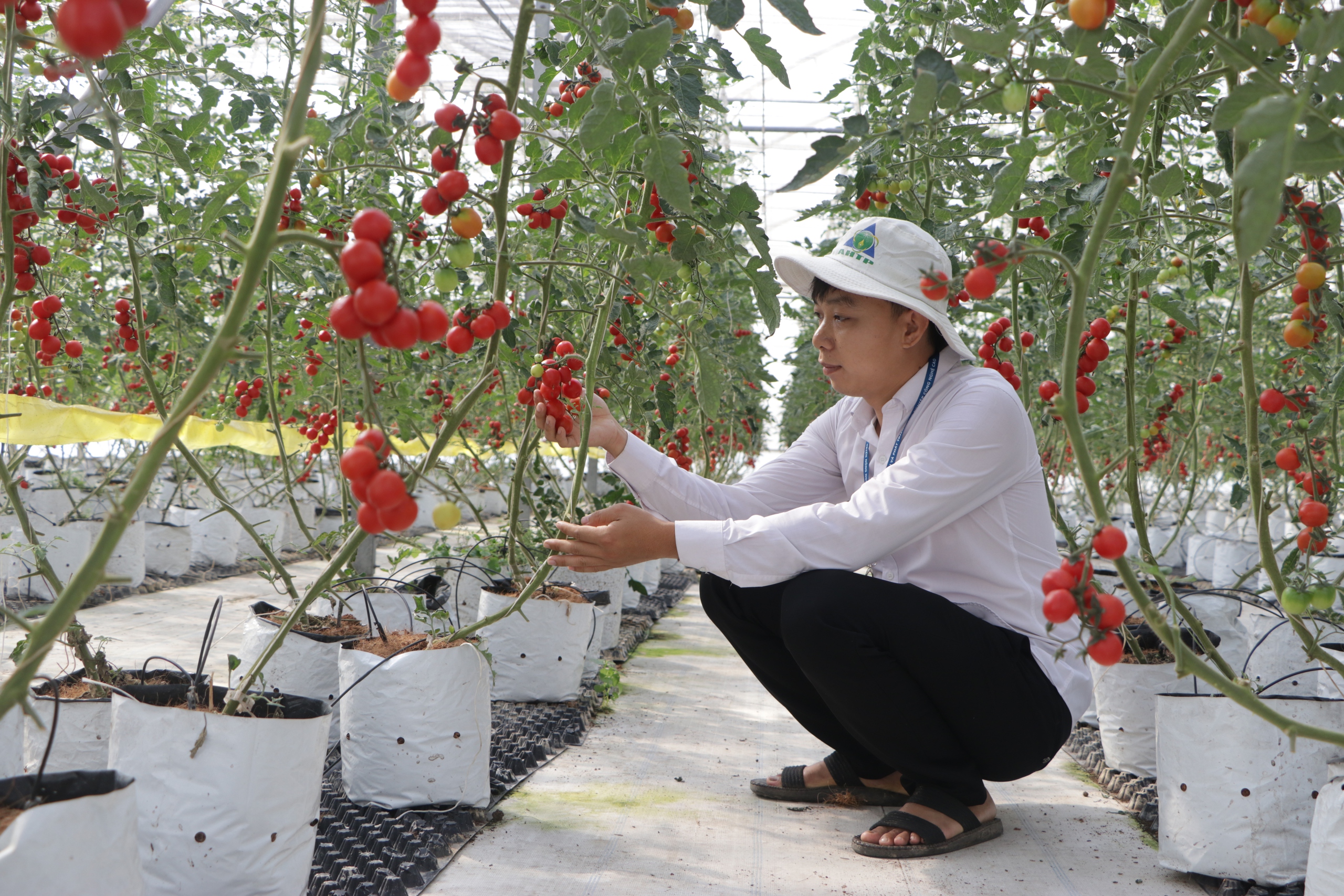 Xây dựng công trình trên đất nông nghiệp ở TP.HCM: Nông dân phấn khởi với quy định mới (bài 2)  - Ảnh 1.