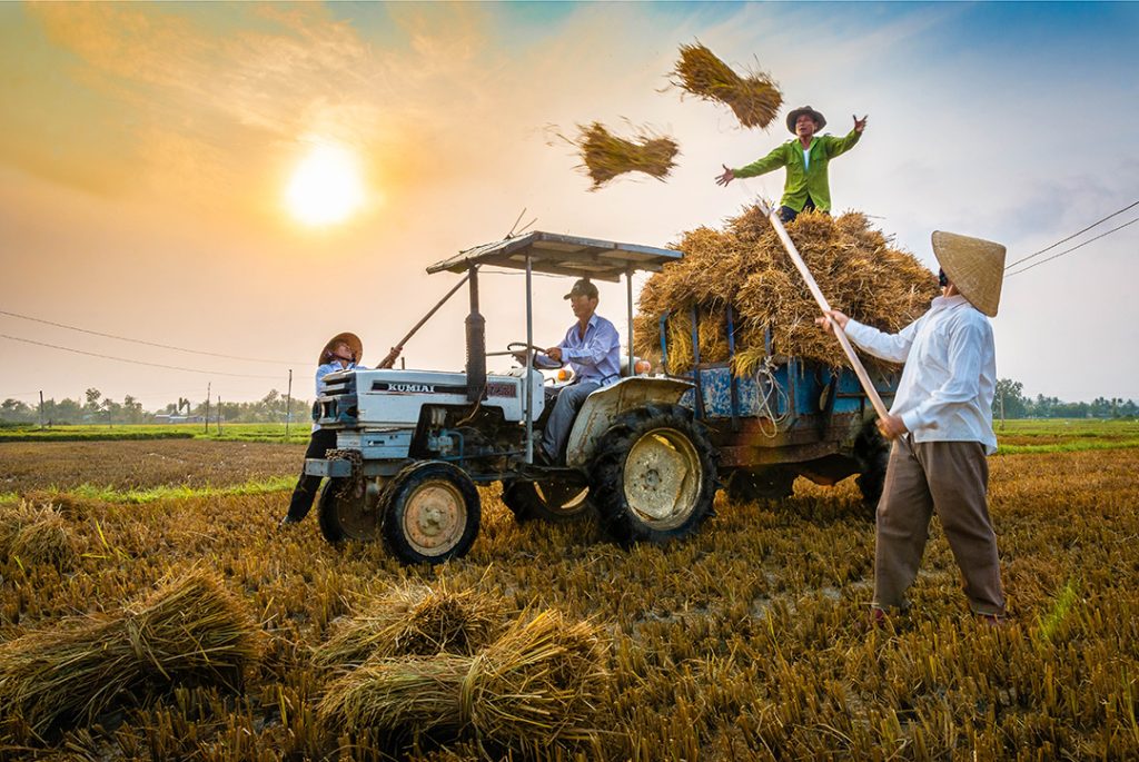 Giải báo chí toàn quốc về nông nghiệp, nông dân, nông thôn 2024: Xuất hiện tác phẩm độc đáo từ những tác giả đặc biệt - Ảnh 2.