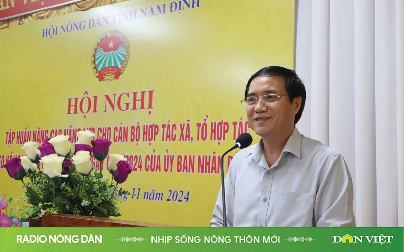 Nhịp sống nông thôn mới ngày 8/11/2024 - Ảnh 1.