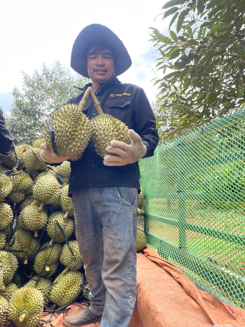 Tổng Công ty Thái Bình đồng hành cùng nông dân nâng cao chất lượng cây trồng - Ảnh 1.