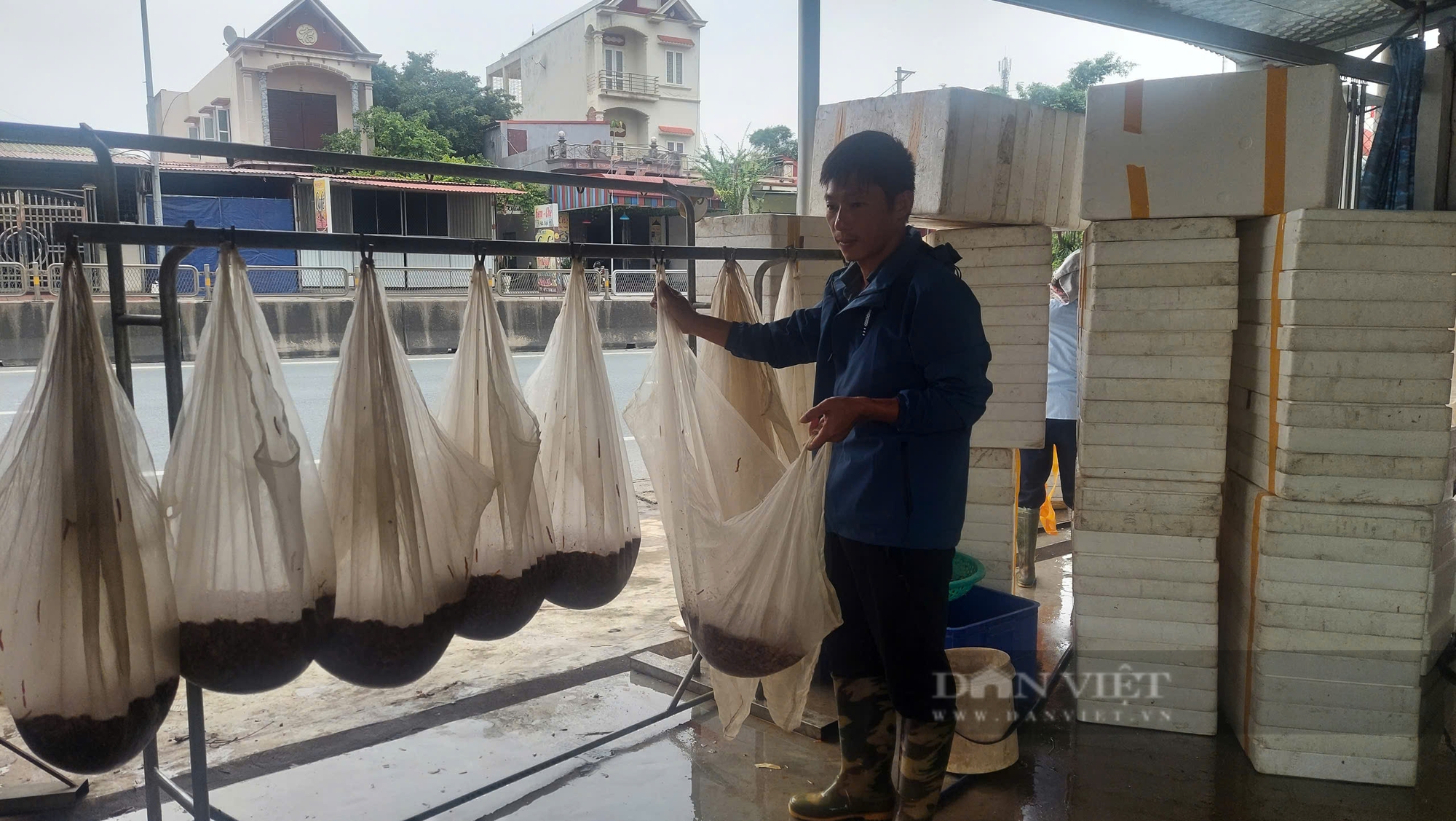 Đi vớt rươi nổi lúc nhúc - nguồn "báu vật trời cho" nông dân Hải Phòng làm chơi mà ăn thật - Ảnh 5.