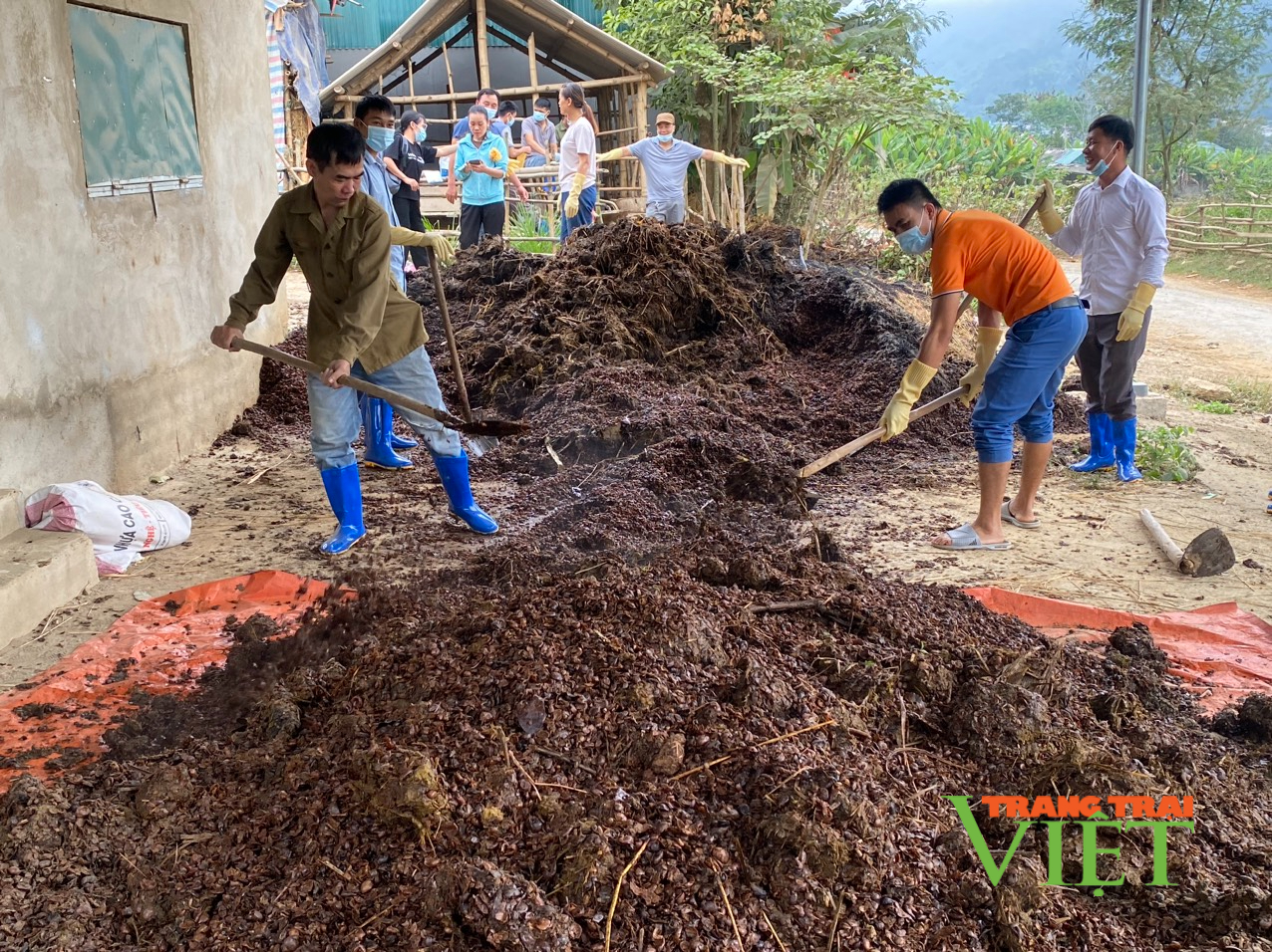 “Bệ phóng” cho người dân thoát nghèo từ nguồn vốn vay ưu đãi ở Mường Ảng - Ảnh 3.