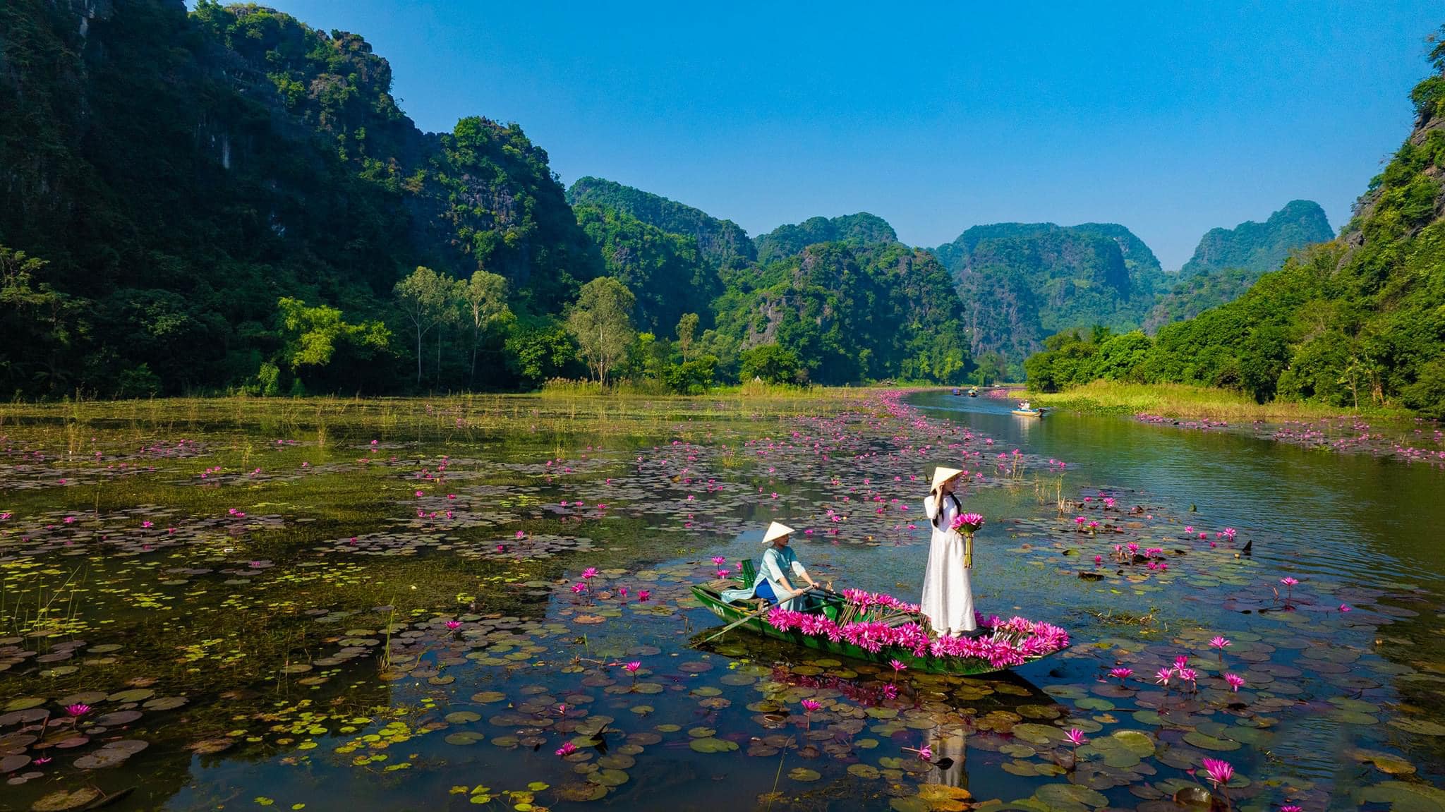 Đi du lịch Ninh Bình mùa nào đẹp nhất?: Ngất ngây mùa hoa súng trên dòng sông Ngô Đồng - Ảnh 3.