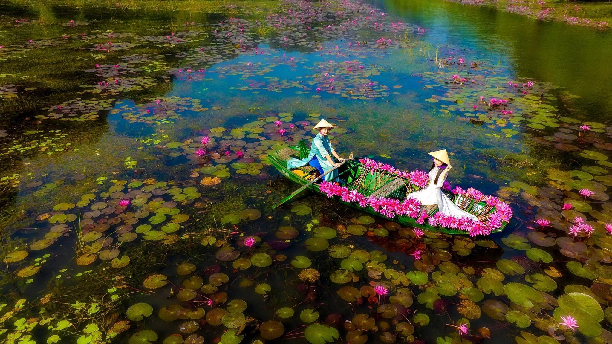 Đi du lịch Ninh Bình mùa nào đẹp nhất?: Ngất ngây mùa hoa súng trên dòng sông Ngô Đồng - Ảnh 4.