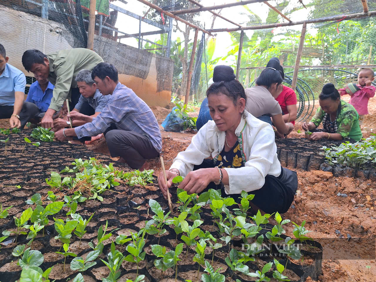 Thoát nghèo, khá giả từ nguồn vốn vay ưu đãi Ngân hàng CSXH ở Mường Ảng- Ảnh 1.