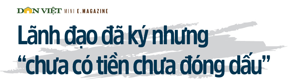 Thư ký, Trợ lý – Đừng để tình trạng "cua cậy càng, cá cậy vây" - Ảnh 5.