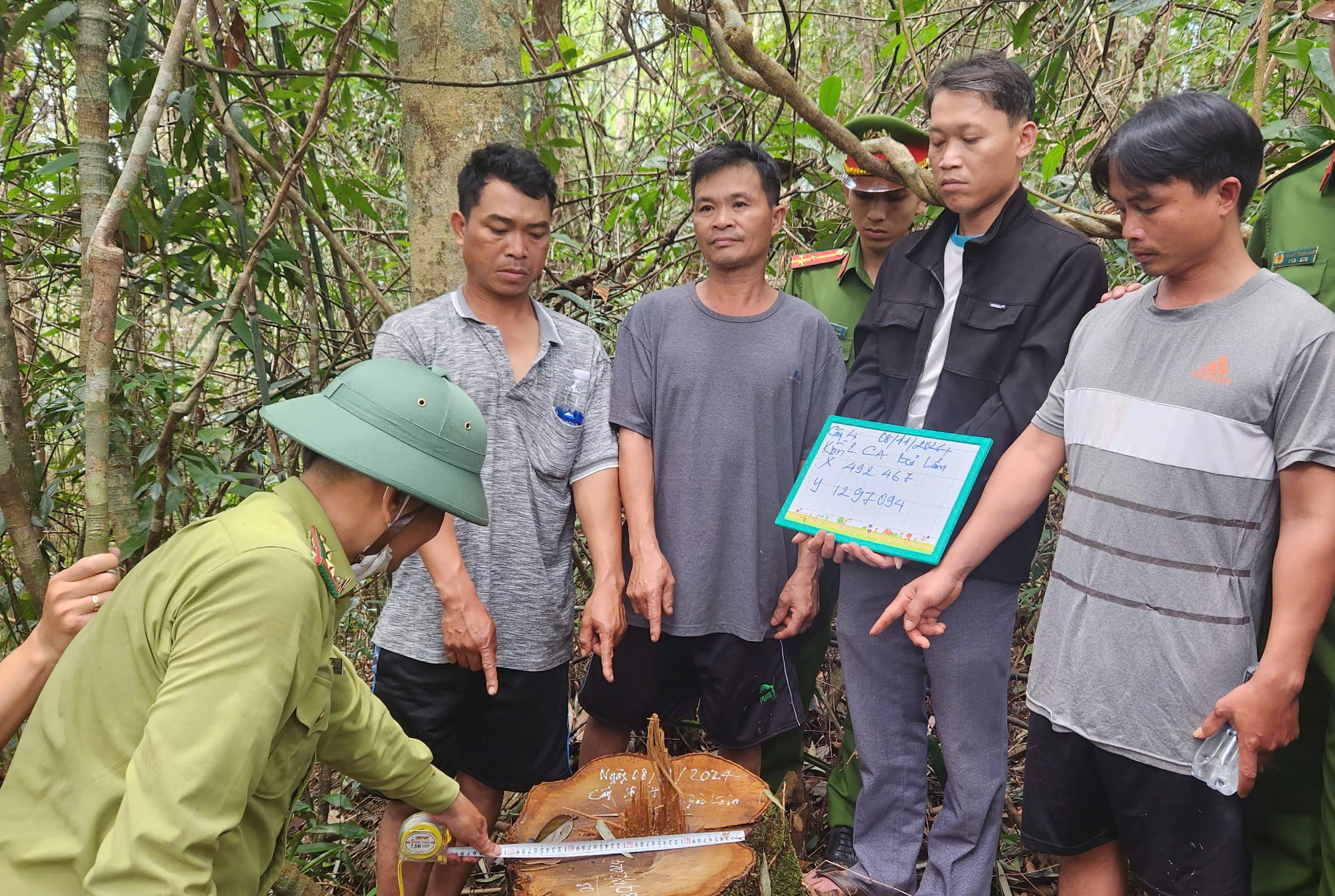 Điều tra vụ nhân viên quản lý bảo vệ rừng "móc nối" lâm tặc cưa hạ gỗ quý nhóm II - Ảnh 2.