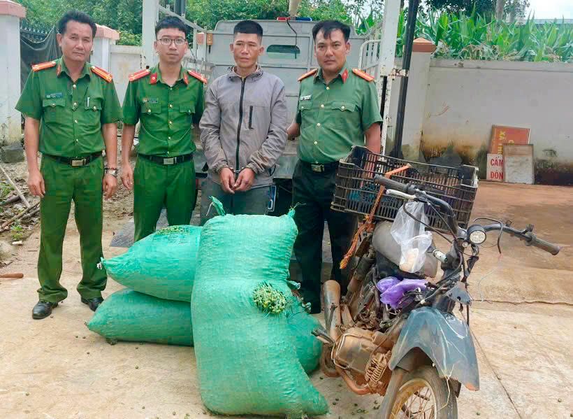 Mang cà phê trộm đi bán, bị bắt vì sự tinh ý của chủ đại lý- Ảnh 2.