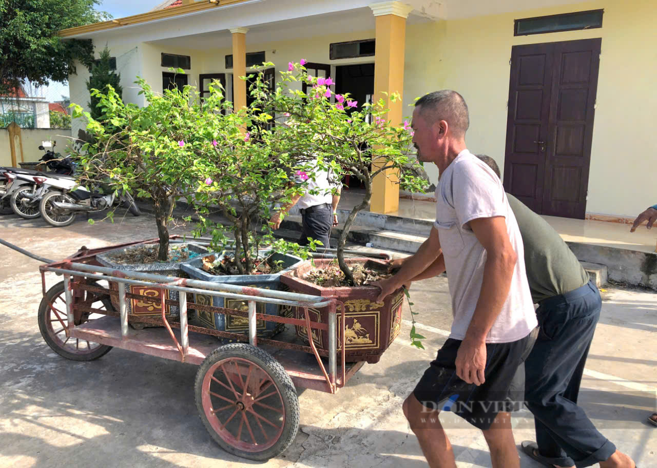 Hội Nông dân Kim Sơn: Thực hiện tốt việc giám sát giữ gìn vệ sinh và cải tạo cảnh quan môi trường - Ảnh 7.