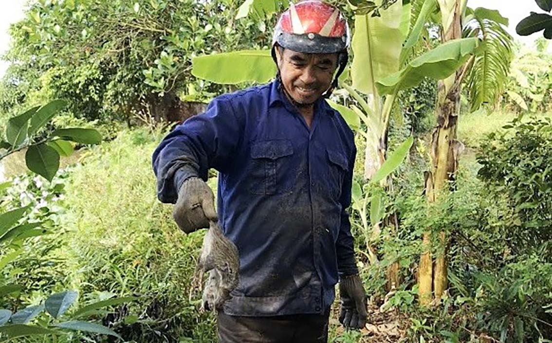 Đặc sản Hải Phòng vào mùa, nhìn thì “phát sợ” nhưng ăn lại thấy thơm ngon, béo ngậy - Ảnh 6.