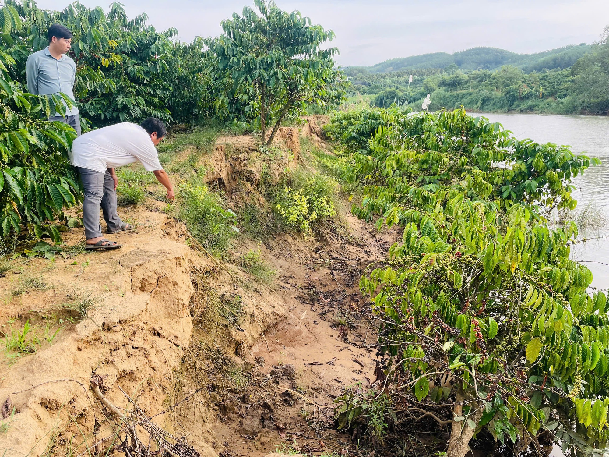 Người dân quanh lòng hồ thủy điện Đăk Psi 6 khốn khổ vì nước dâng, sạt lở cuốn trôi hoa màu- Ảnh 1.