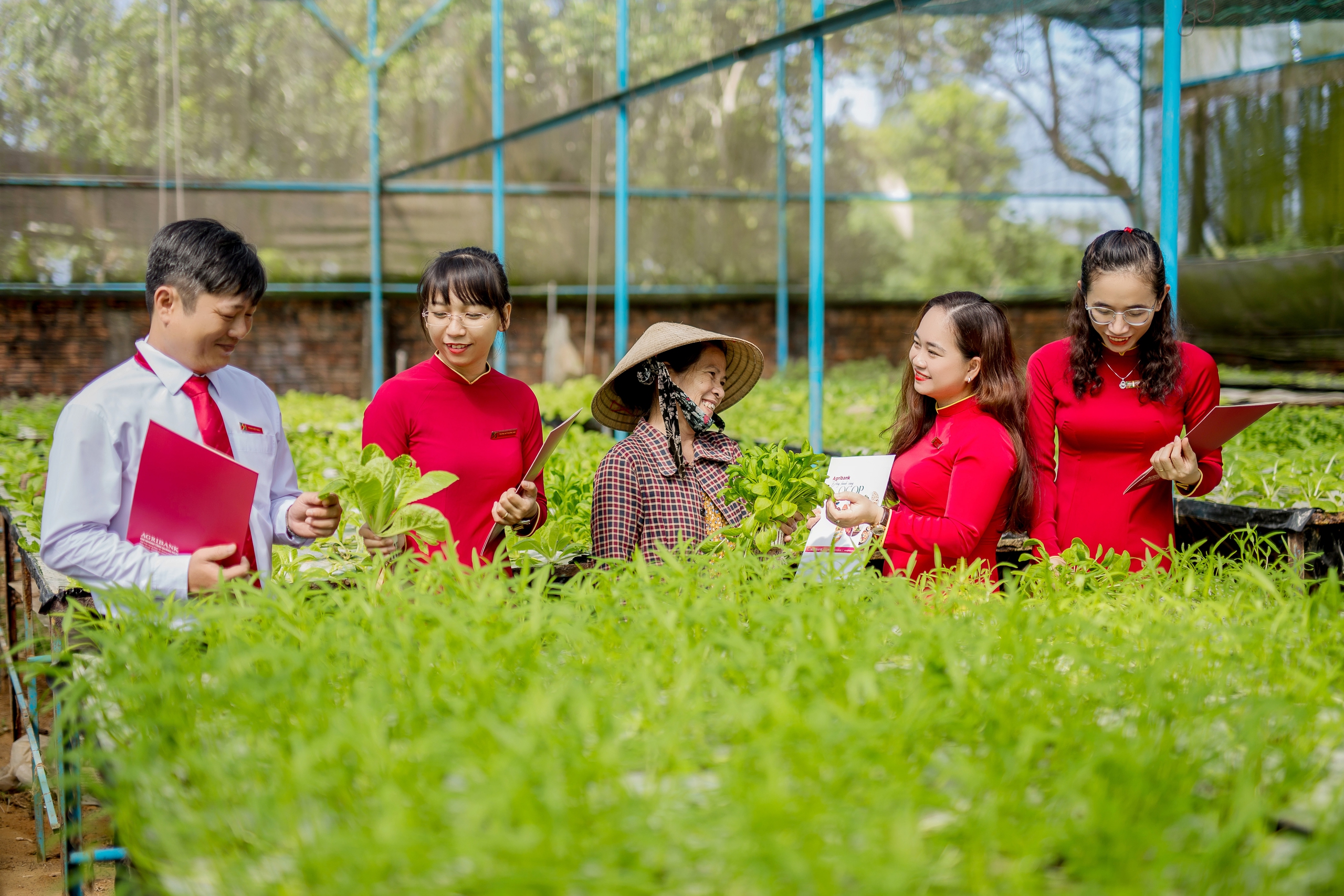 Quảng Ngãi ưu tiên vốn cho tam nông, đồng hành cùng sự phát triển kinh tế của địa phương - Ảnh 1.