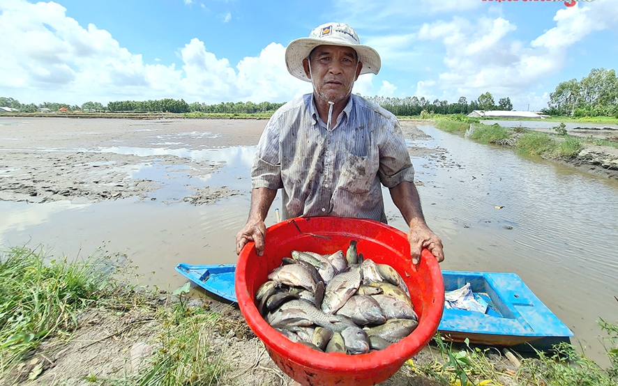 Giá cà phê cao kỷ lục, nông dân Lâm Đồng phân vân “nên bán hay chờ” - Ảnh 5.