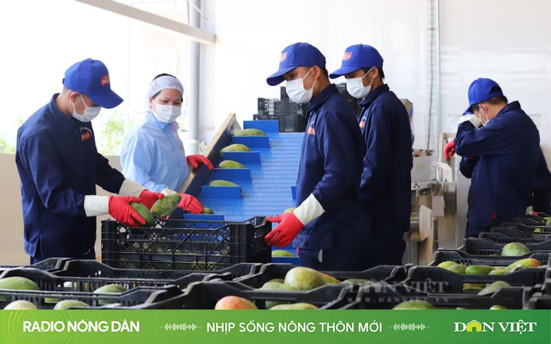 Nhịp sống nông thôn mới ngày 02/12/2024 - Ảnh 1.