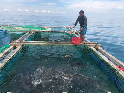 Quảng Ngãi ưu tiên vốn cho tam nông, đồng hành cùng sự phát triển kinh tế của địa phương - Ảnh 3.