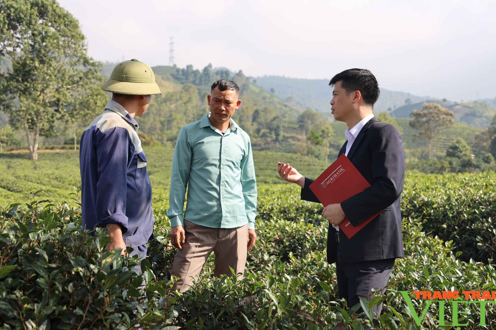 Sử dụng vốn vay Agribank hiệu quả mang lại thu nhập cao cho nông dân Sơn La - Ảnh 4.