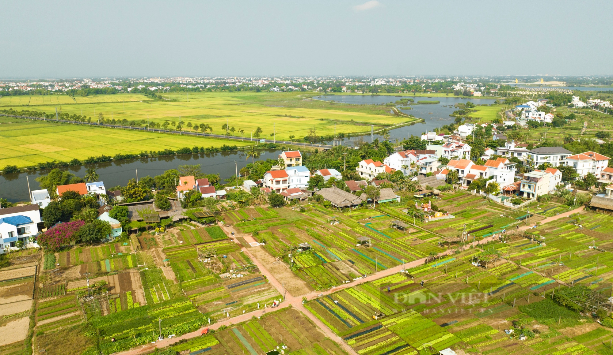 Khám phá làng rau Trà Quế - làng du lịch tốt nhất năm 2024 của Việt Nam ...