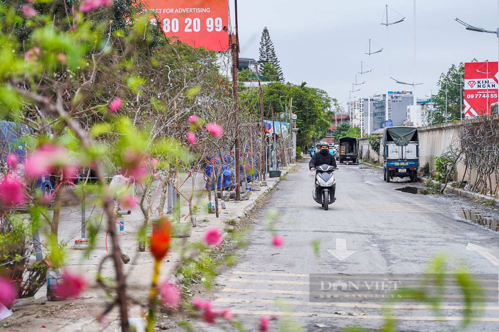 Đào, quất bắt đầu xuống phố, người dân háo hức mua về chơi Tết sớm- Ảnh 8.