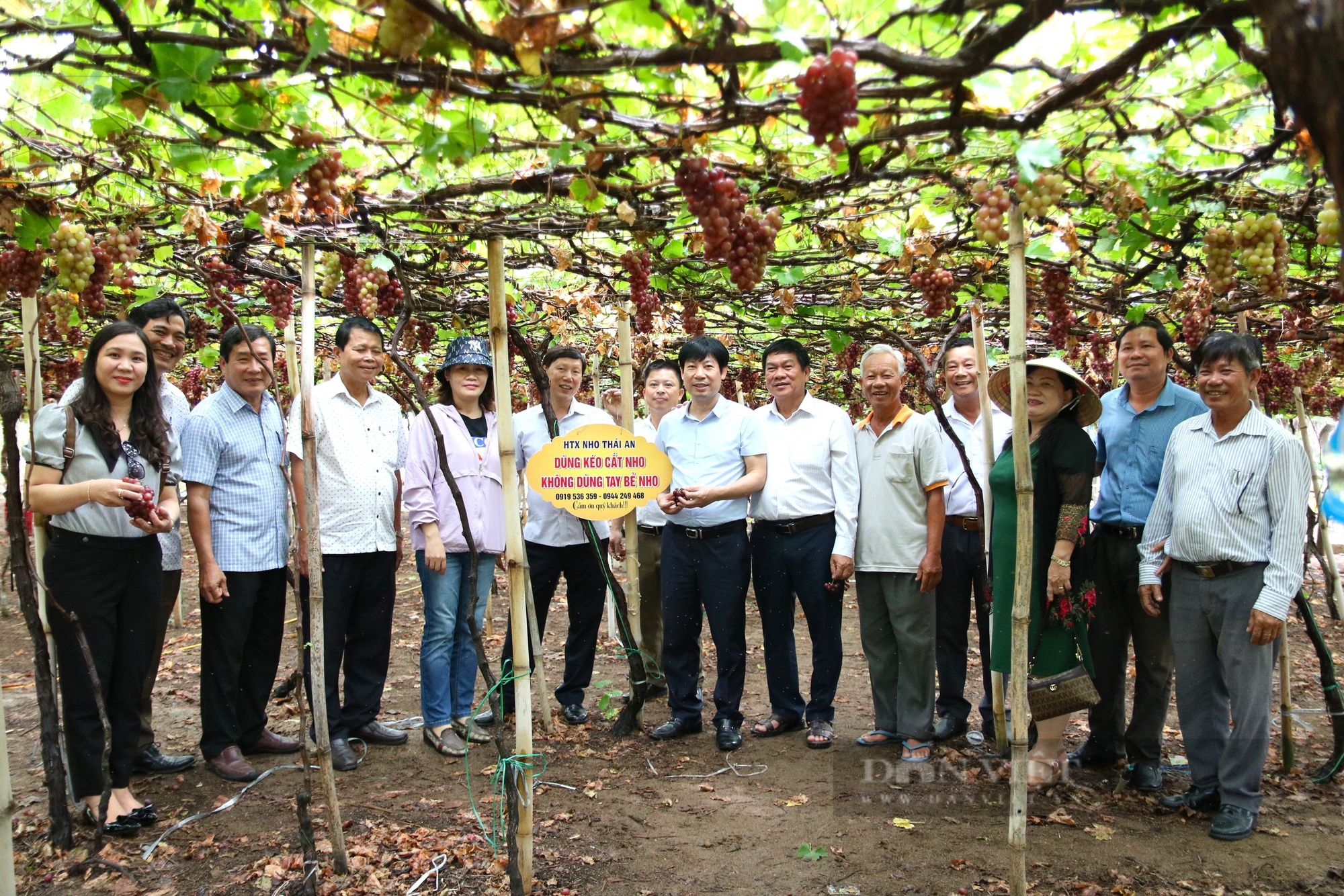 Xây dựng khu du lịch quốc gia Ninh Chử ở Ninh Thuận rộng 10.400ha đất liền và biển  - Ảnh 4.