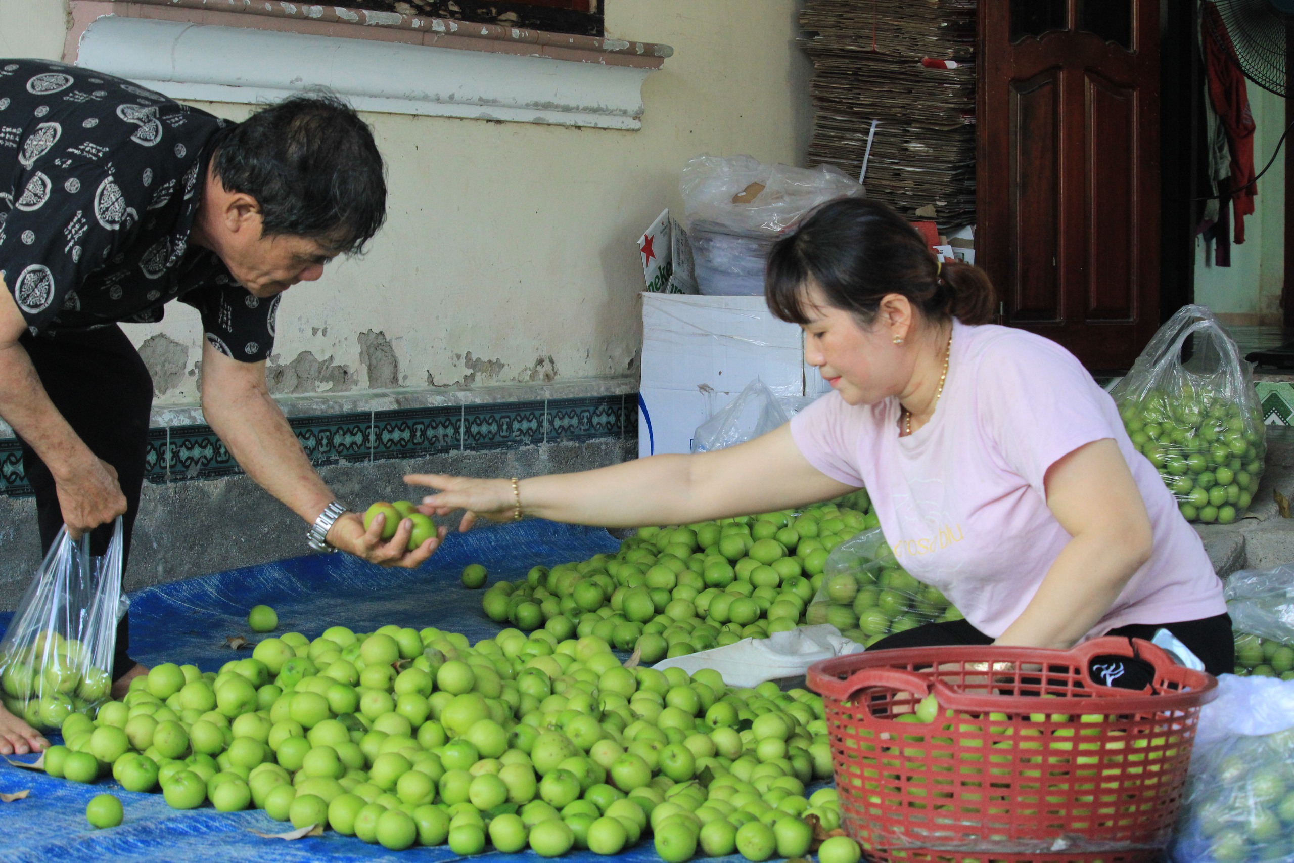 Khánh Hòa: 66 xã được công nhận đạt chuẩn nông thôn mới- Ảnh 1.