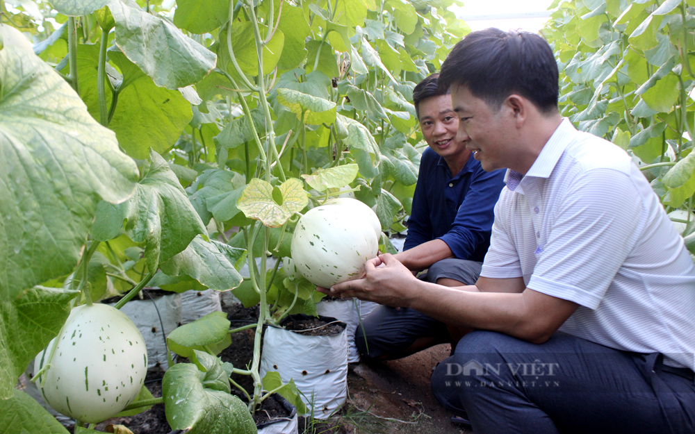 Bước chuyển mới để Quỹ hỗ trợ nông dân Bình Dương tiếp tục hoạt động hiệu quả - Ảnh 2.