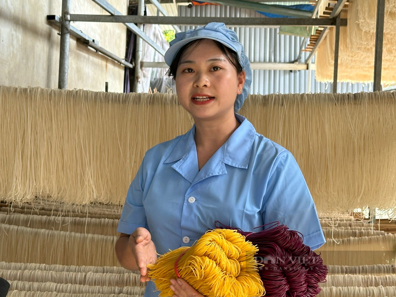 Nông sản Cao Bằng vươn được xa hơn nhờ ứng dụng KHCN vào sản xuất hàng hóa và quảng bá sản phẩm - Ảnh 5.