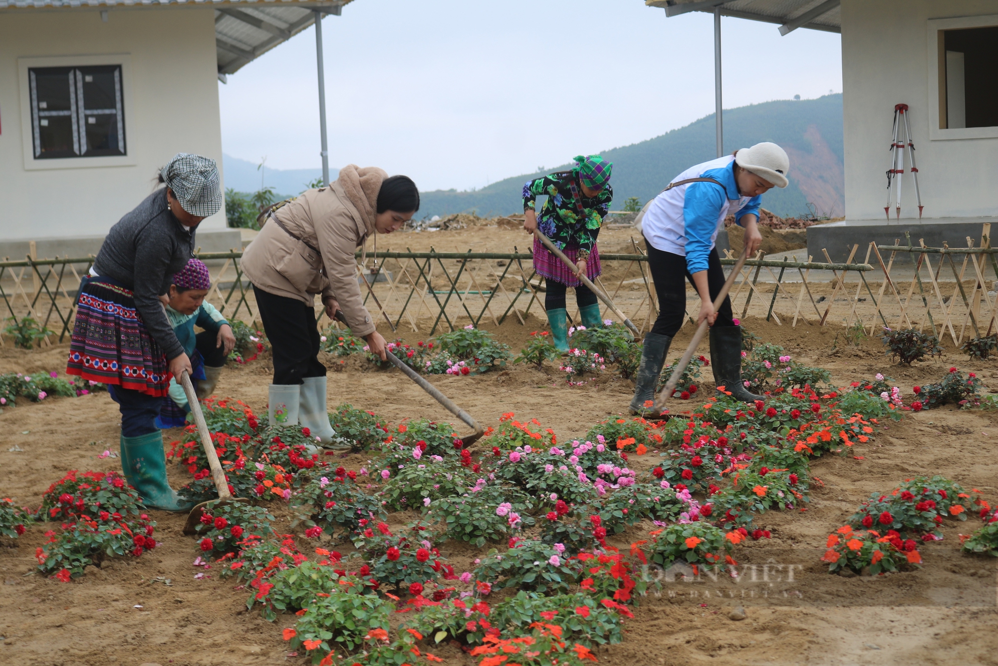 Cảm xúc của người dân thôn Kho Vàng, Nậm Tông (Lào Cai) trước ngày về nơi ở mới - Ảnh 8.