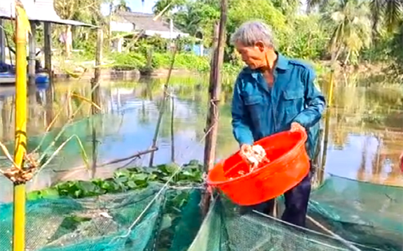 Hưởng lương 700 triệu/năm nhờ liều trồng hoa lan, loài hoa quý tộc ở Bình Dương, nở cản chả kịp - Ảnh 5.