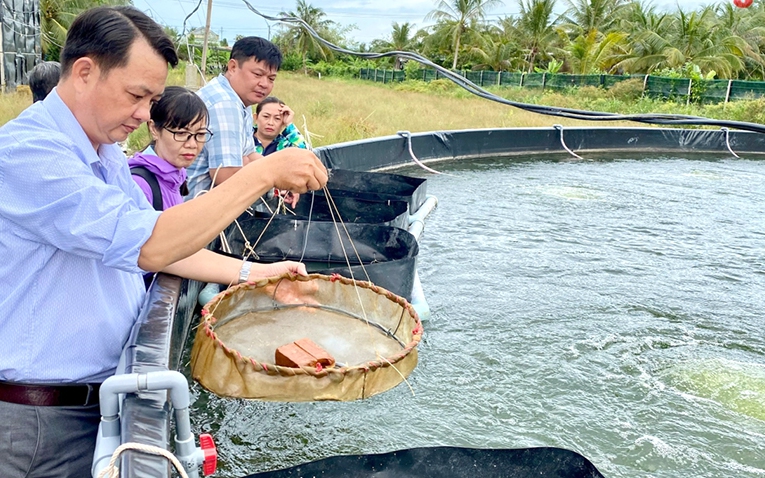 Nước thải trang trại nuôi heo đổ ra môi trường, người dân ở Quảng Trị bức xúc - Ảnh 3.