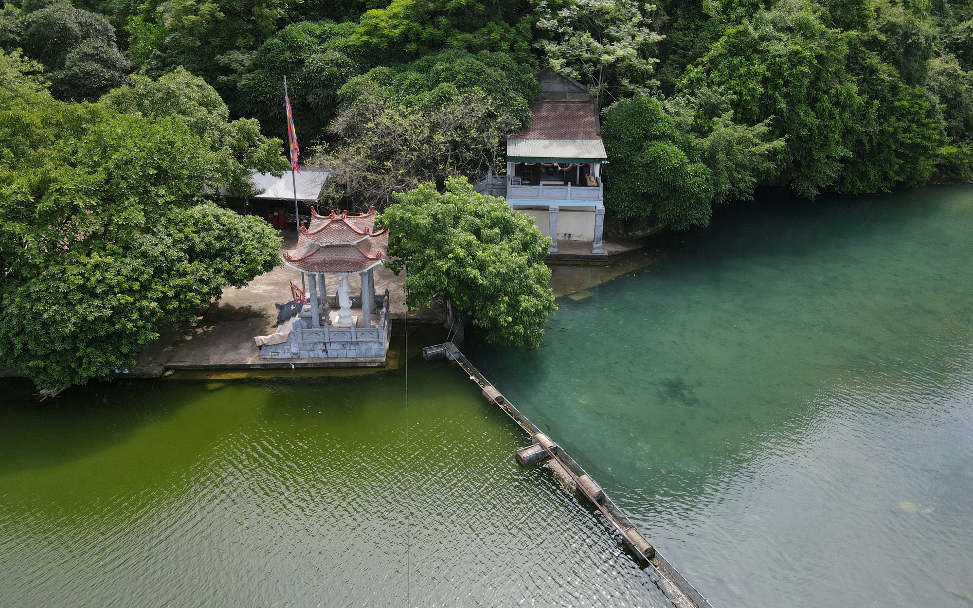 Một loài cá quý hiếm, cá đặc sản Hòa Bình do dân nuôi thành công được trao chứng nhận bảo hộ - Ảnh 2.