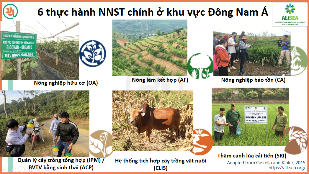 (Bài 1): Nông nghiệp sinh thái mang lại "lợi ích kép" cho người nông dân như thế nào? - Ảnh 4.