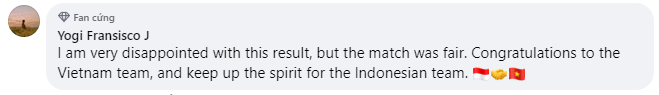 CĐV Đông Nam Á mỉa mai ĐT Indonesia khi thua ĐT Việt Nam - Ảnh 2.