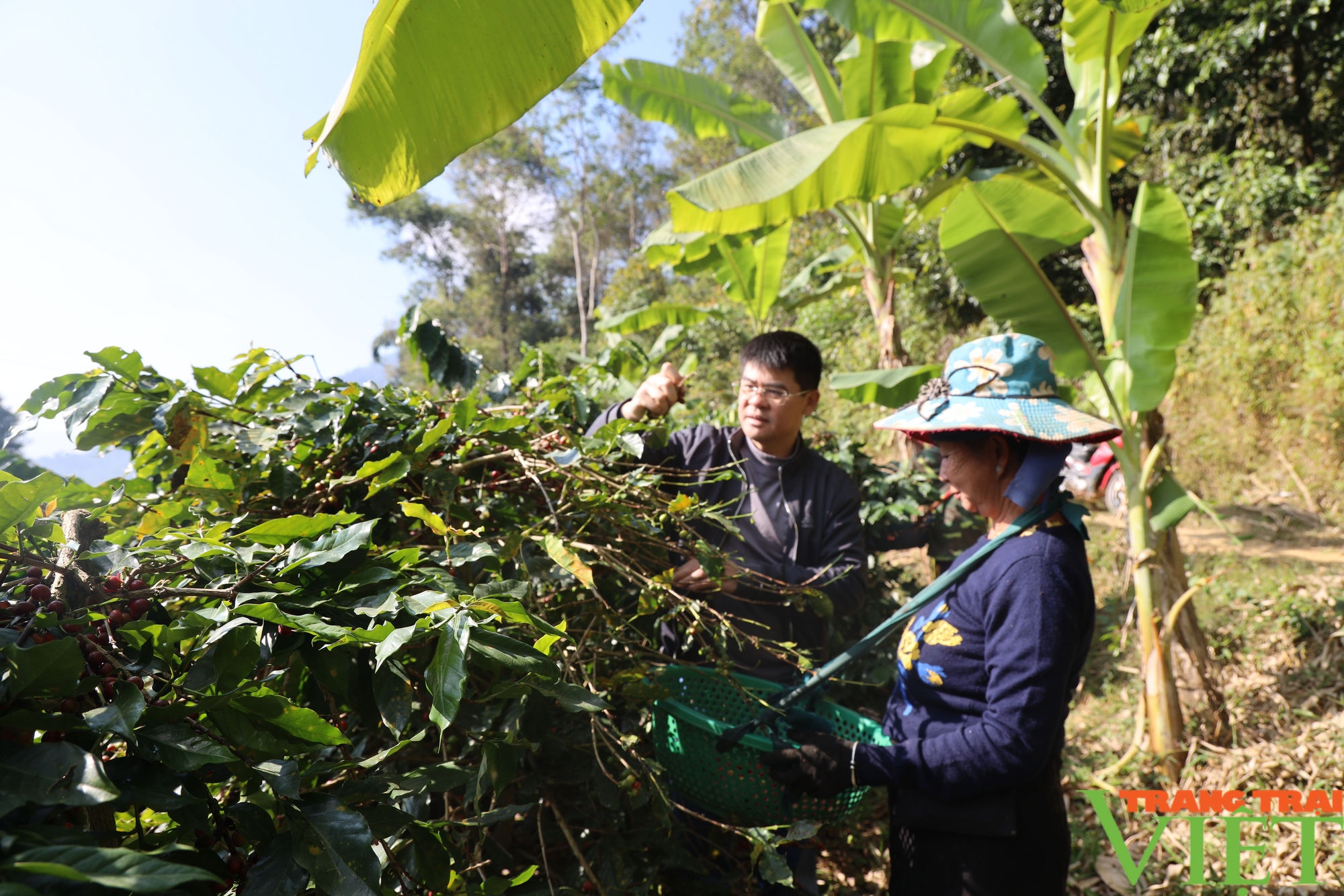 Nông dân đẩy mạnh thực hiện tiêu chí thu nhập trong xây dựng nông thôn mới - Ảnh 1.