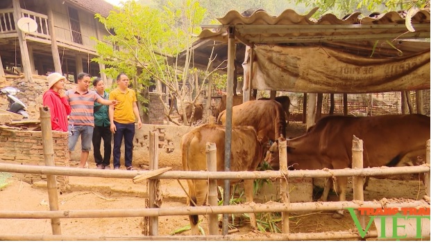 Bắc Yên: Mở rộng cơ hội việc làm để giảm nghèo đa chiều - Ảnh 3.