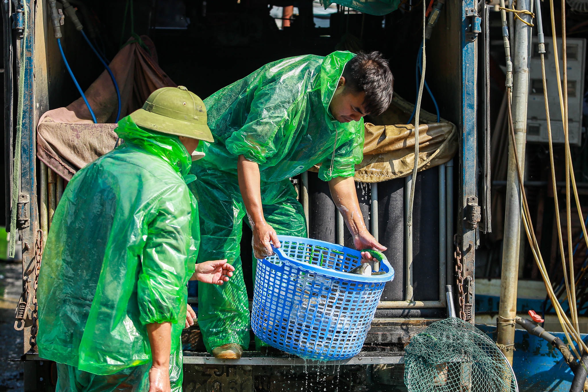 Người dân tay trần khiêng đá, bắt cá giữa thời tiết lạnh “ Cắt da, cắt thịt” ở Hà Nội - Ảnh 1.