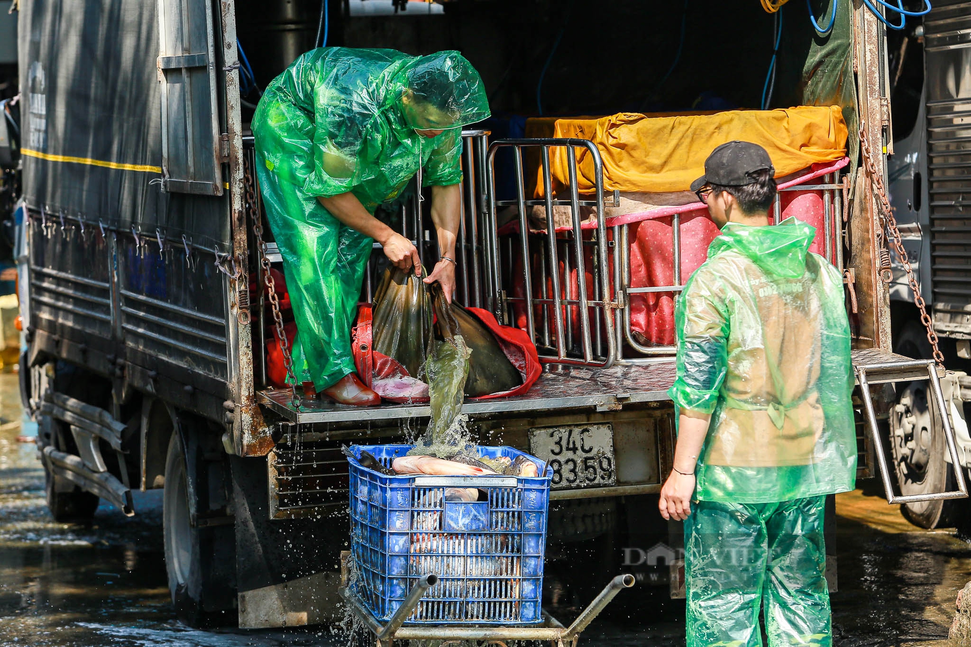 Người dân tay trần khiêng đá, bắt cá giữa thời tiết lạnh “ Cắt da, cắt thịt” ở Hà Nội - Ảnh 2.