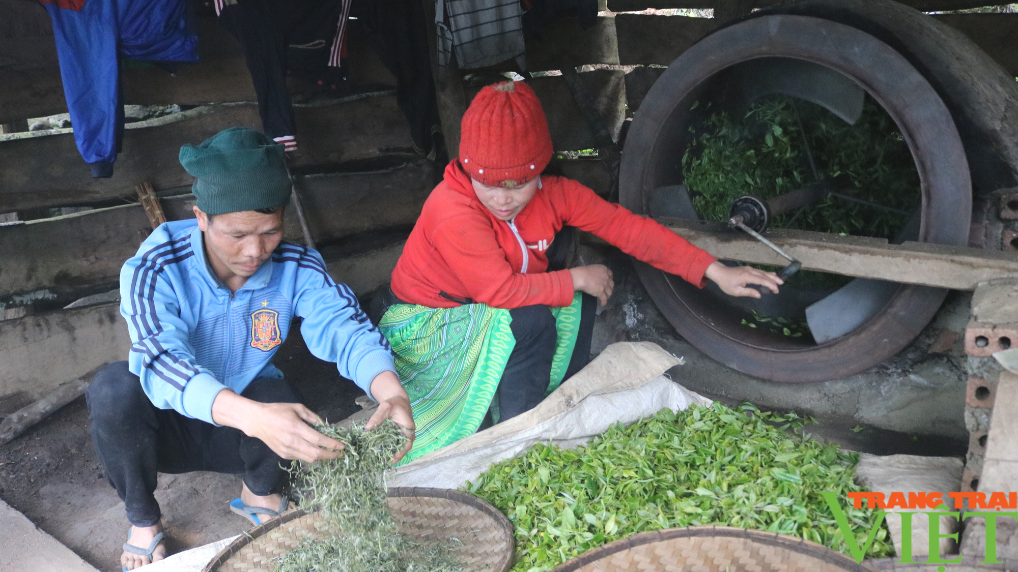 Bắc Yên: Phát huy tiềm năng, lợi thế nâng cao đời sống cho bà con vùng DTTS - Ảnh 4.