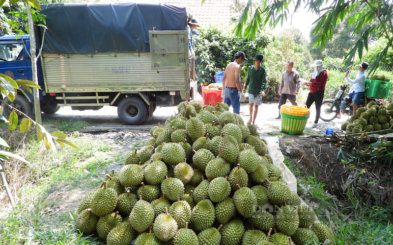 Nông lâm thủy sản Việt Nam nằm trong nhóm bị cảnh báo nhiều nhất ở thị trường Trung Quốc - Ảnh 2.