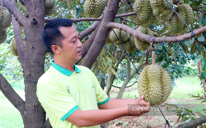 Nông lâm thủy sản Việt Nam nằm trong nhóm bị cảnh báo nhiều nhất ở thị trường Trung Quốc - Ảnh 3.