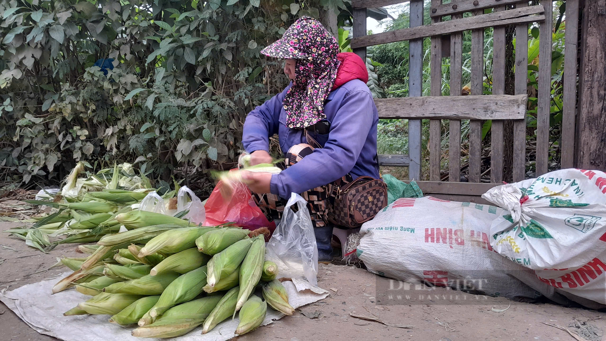 Cuối năm, lao động tự do "chạy nước rút": "Làm việc miệt mài để Tết này bánh chưng không thiếu nhân" - Ảnh 3.