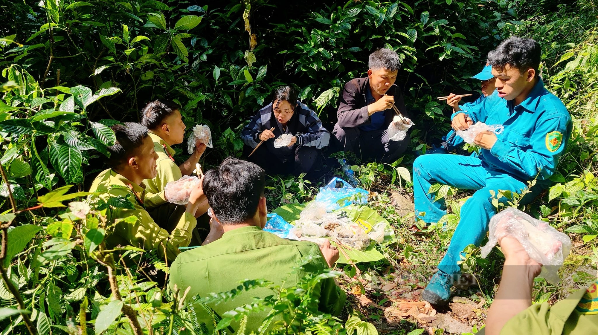 Hà Giang: Tăng cường công tác phối hợp tuần tra, bảo vệ rừng dịp cuối năm - Ảnh 2.