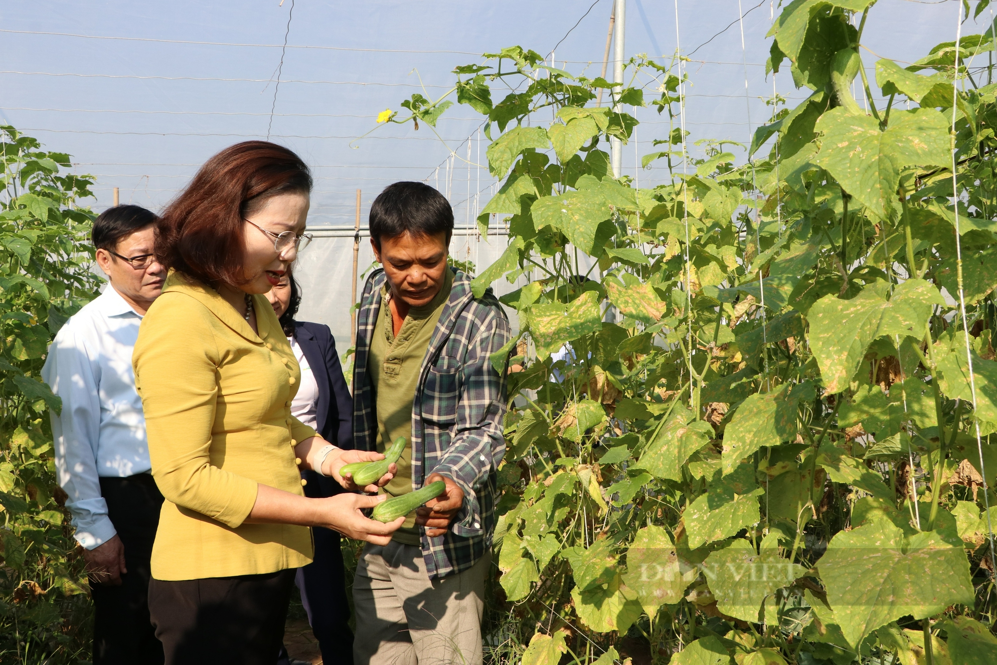 Thái Bình: Những nông dân tiên phong chuyển đổi sản xuất nông nghiệp,  - Ảnh 3.