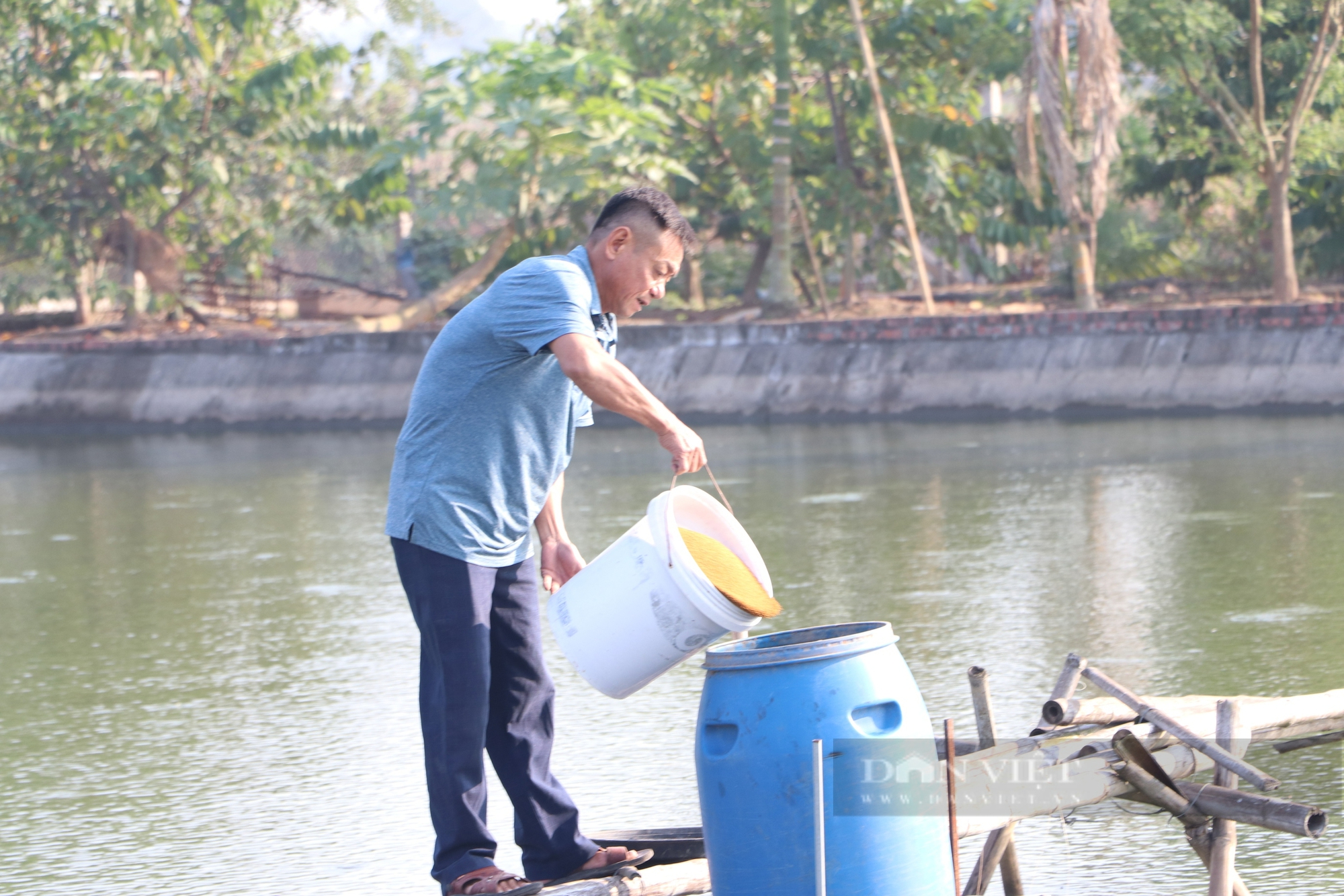 Thái Bình: Những nông dân tiên phong chuyển đổi sản xuất nông nghiệp,  - Ảnh 1.