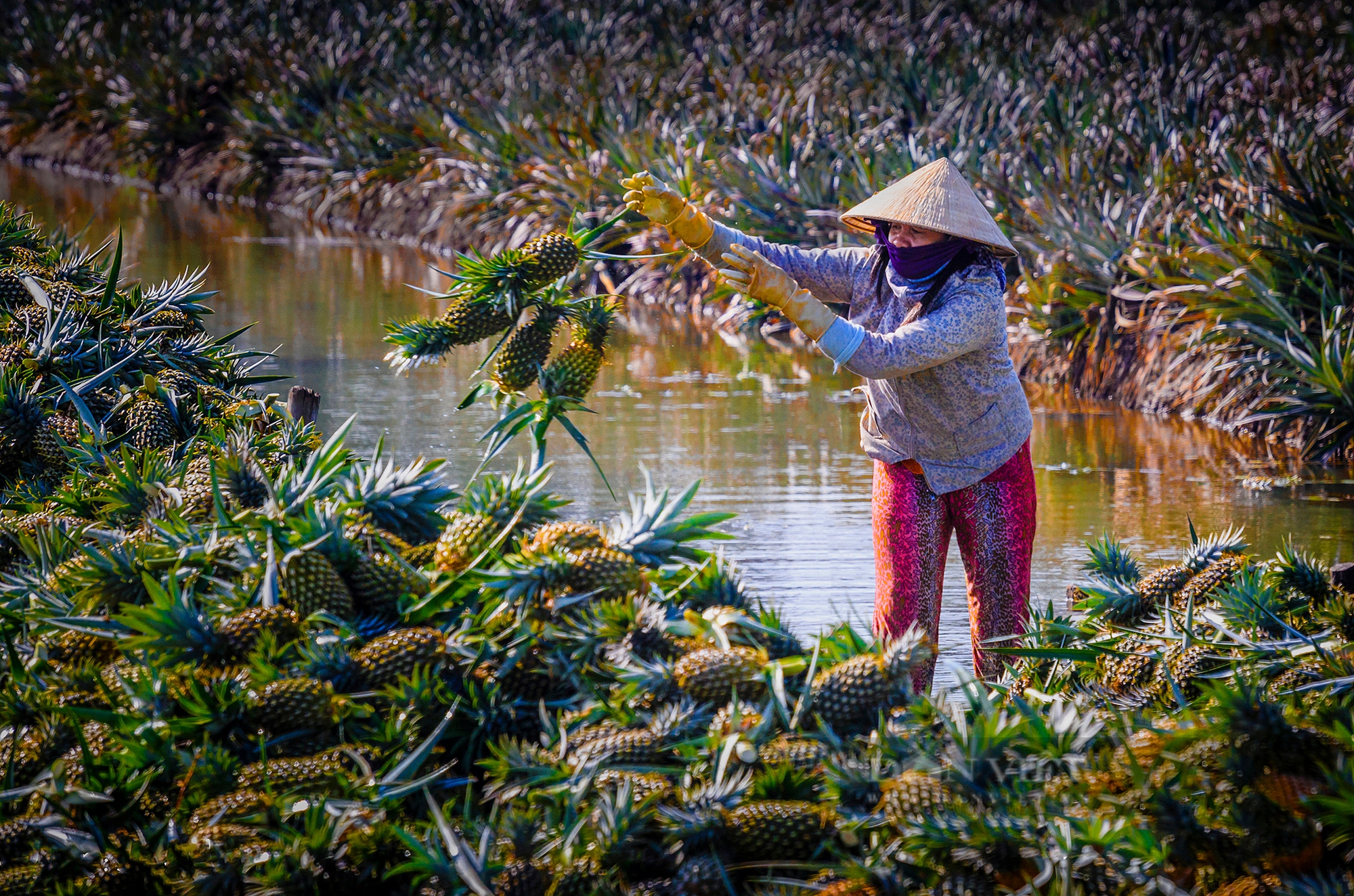 Bộ trưởng Huỳnh Thành Đạt phát biểu tại tọa đàm có chủ đề về kết nối TP HCM-ĐBSCL trong phát triển- Ảnh 2.