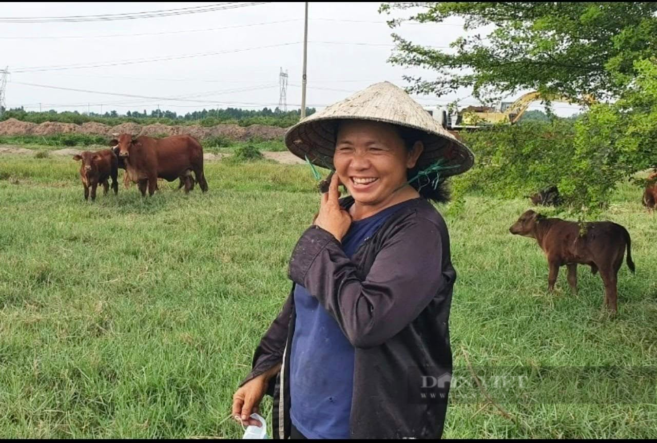 Chăn nuôi bò thịt kiểu gì, chị nông dân được UBND TP.HCM 4 lần tuyên dương nông dân tiêu biểu thành phố? - Ảnh 6.